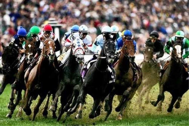 Số lượng ngựa tham gia vào đường đua